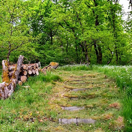 Confortable Avec Cheminee A - Fr-1-589-222 別荘 *