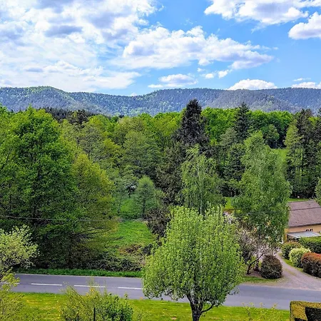 Confortable Avec Cheminee A - Fr-1-589-222 別荘 Taintrux