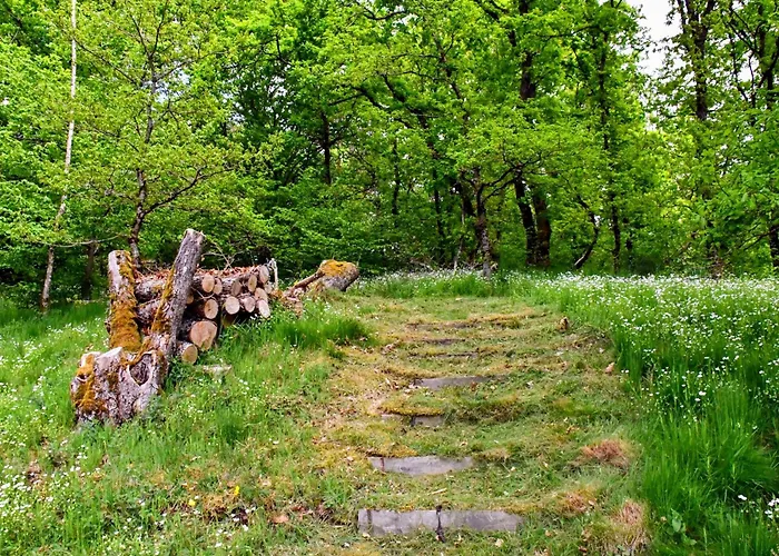 Confortable Avec Cheminee A - Fr-1-589-222 度假居 *