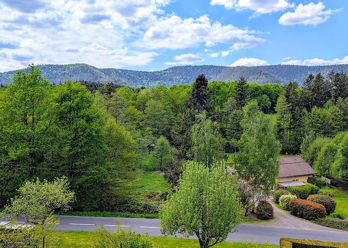 Confortable Avec Cheminee A - Fr-1-589-222 度假居 Taintrux